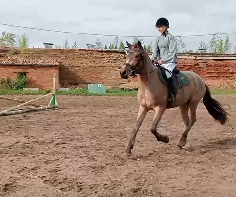 В конноспортивном клубе «Планета-Университет»