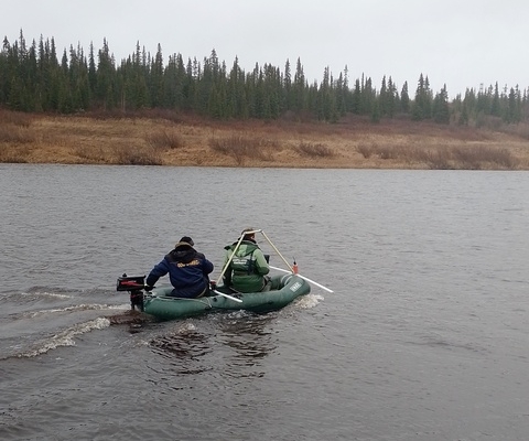 В. И. Чуркин и А. Е. Лобанов