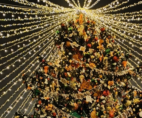 Ёлка на Красной площади