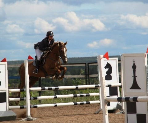 Е. А. Шомесова