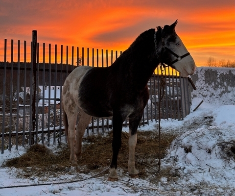 В КСК «Планета–Университет» 